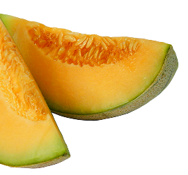 melon
